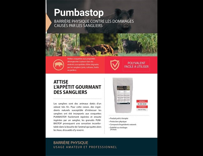 Pumbastop - sanglier